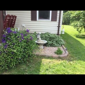 Meet your Posher, Carol